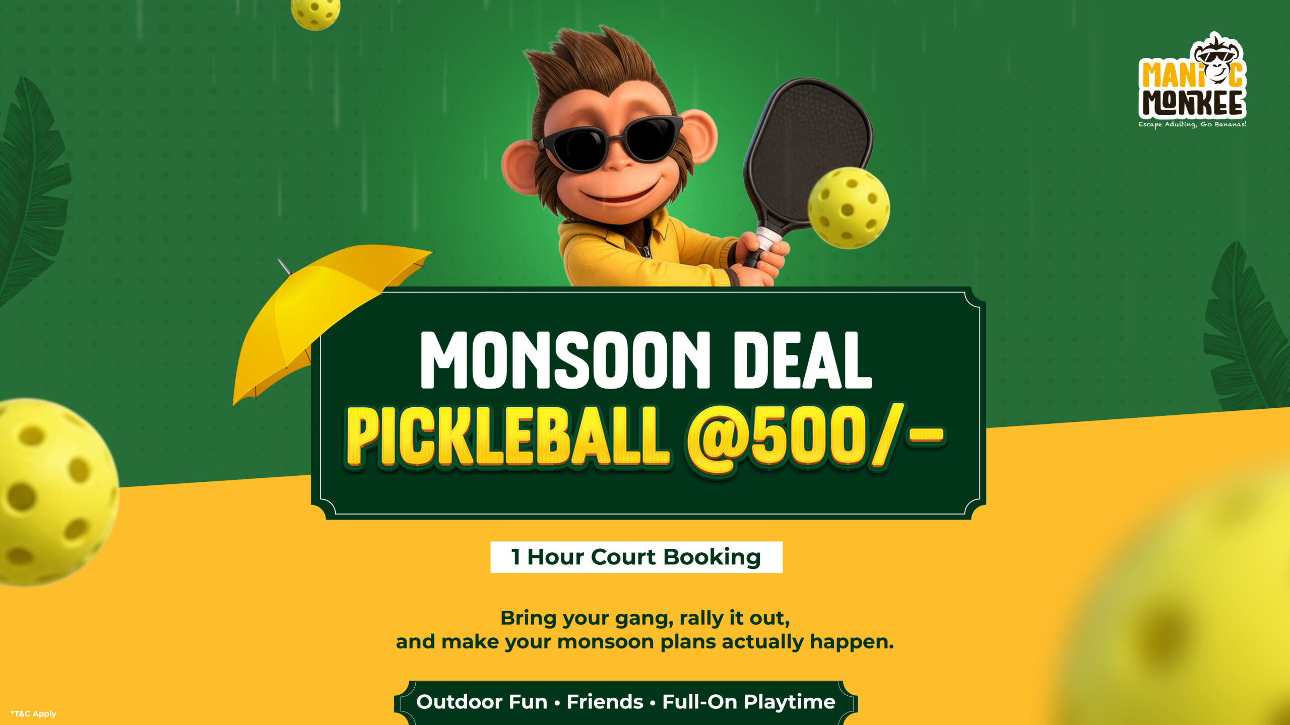 pickeball 2 TV .jpg